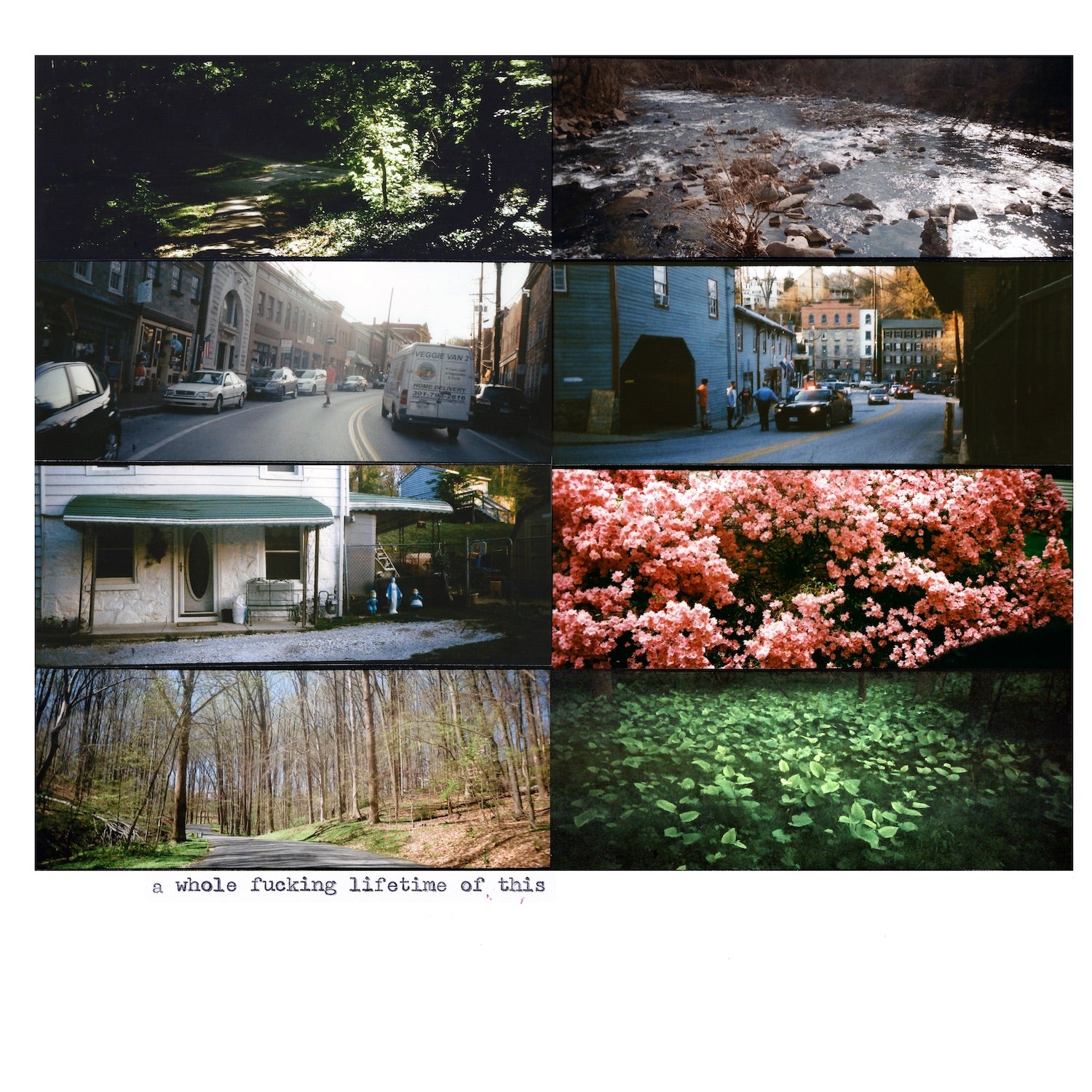 American Pleasure Club - A Whole Fucking Lifetime of This