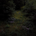Fireworks - Higher Lonely Power Colour 4 12"