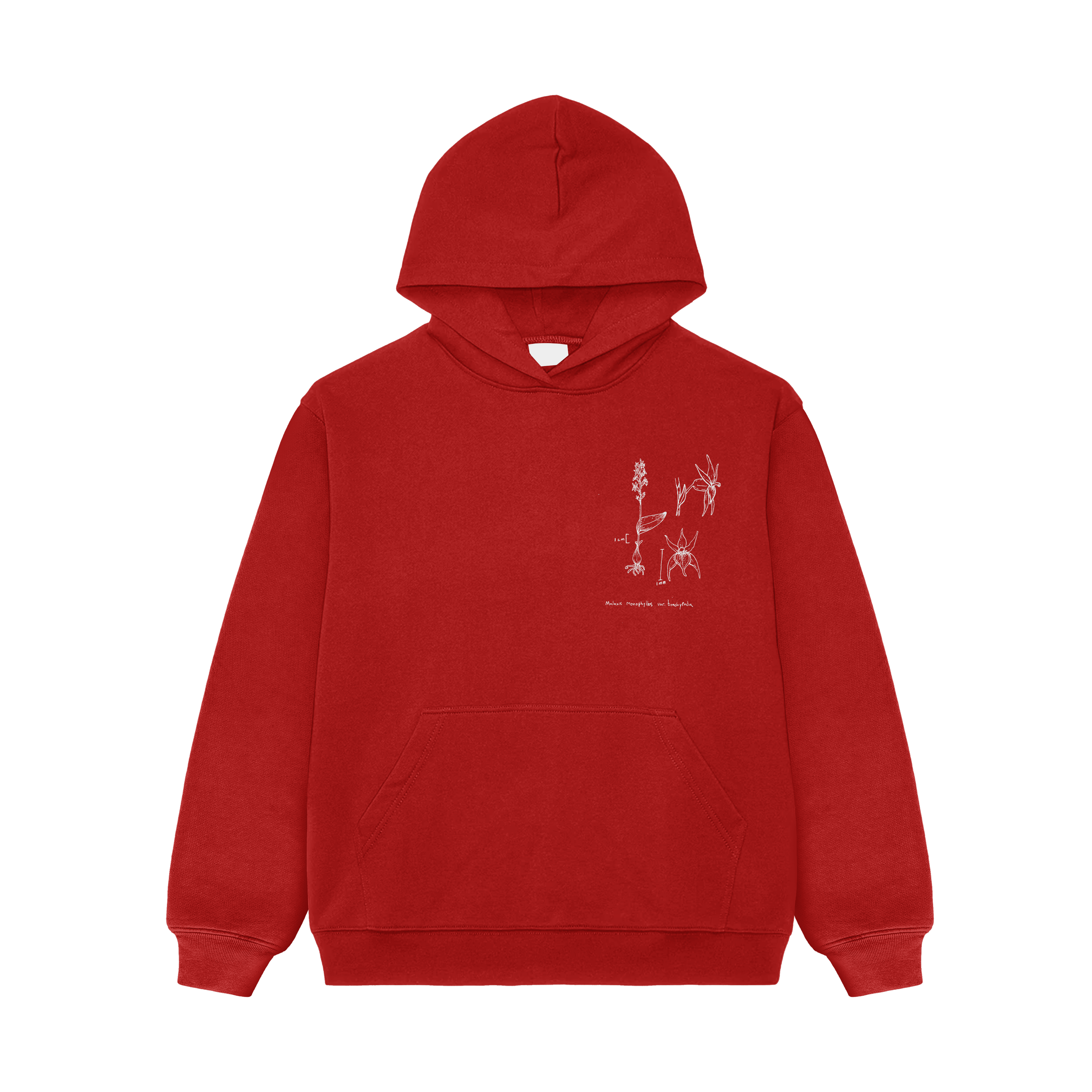 GLASS BEACH - EVERYWHERE HOODIE (RED)
