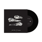 Jason Molina & MJ Lenderman - The Last Three Human Words (Demo) / Just Be Simple