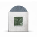 Modern Baseball - You're Gonna Miss it All (10 Year Anniversary Edition)