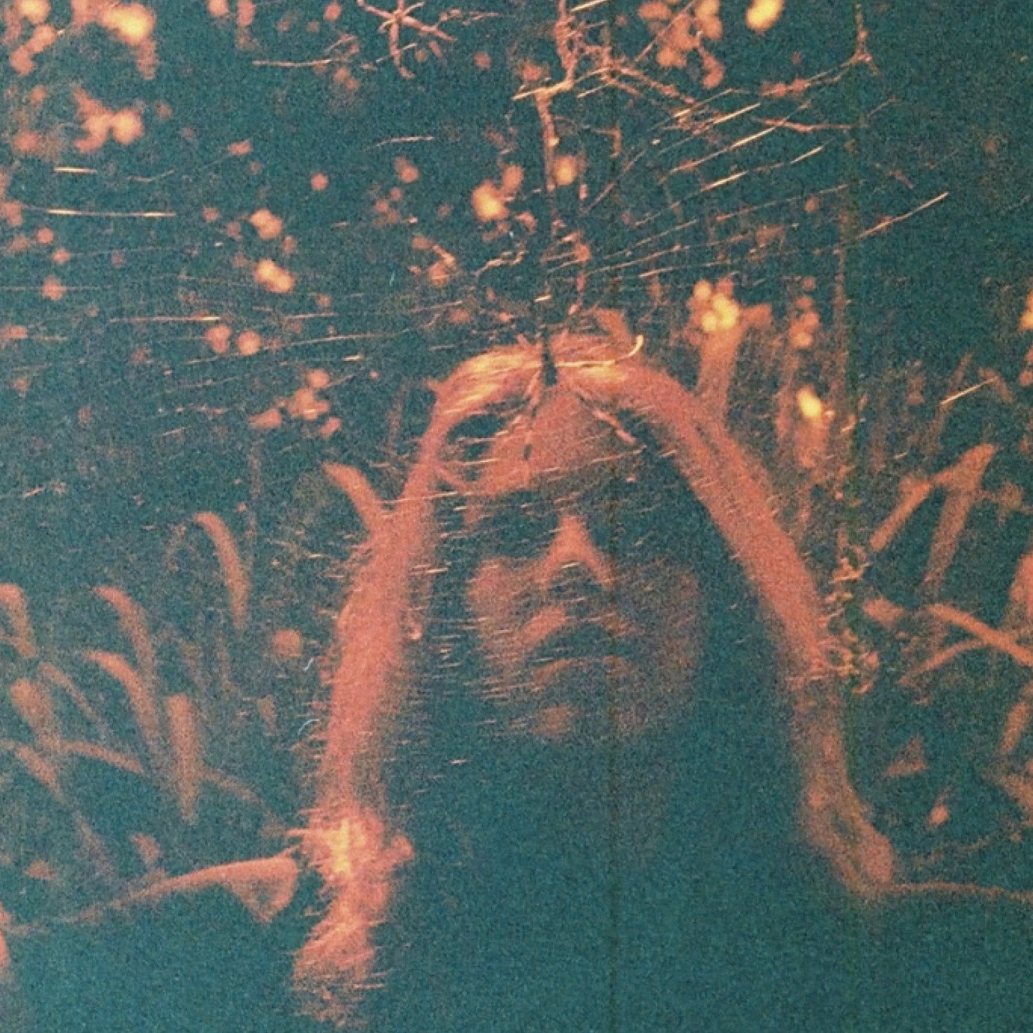 Turnover - Peripheral Vision (10 Year Anniversary Edition)