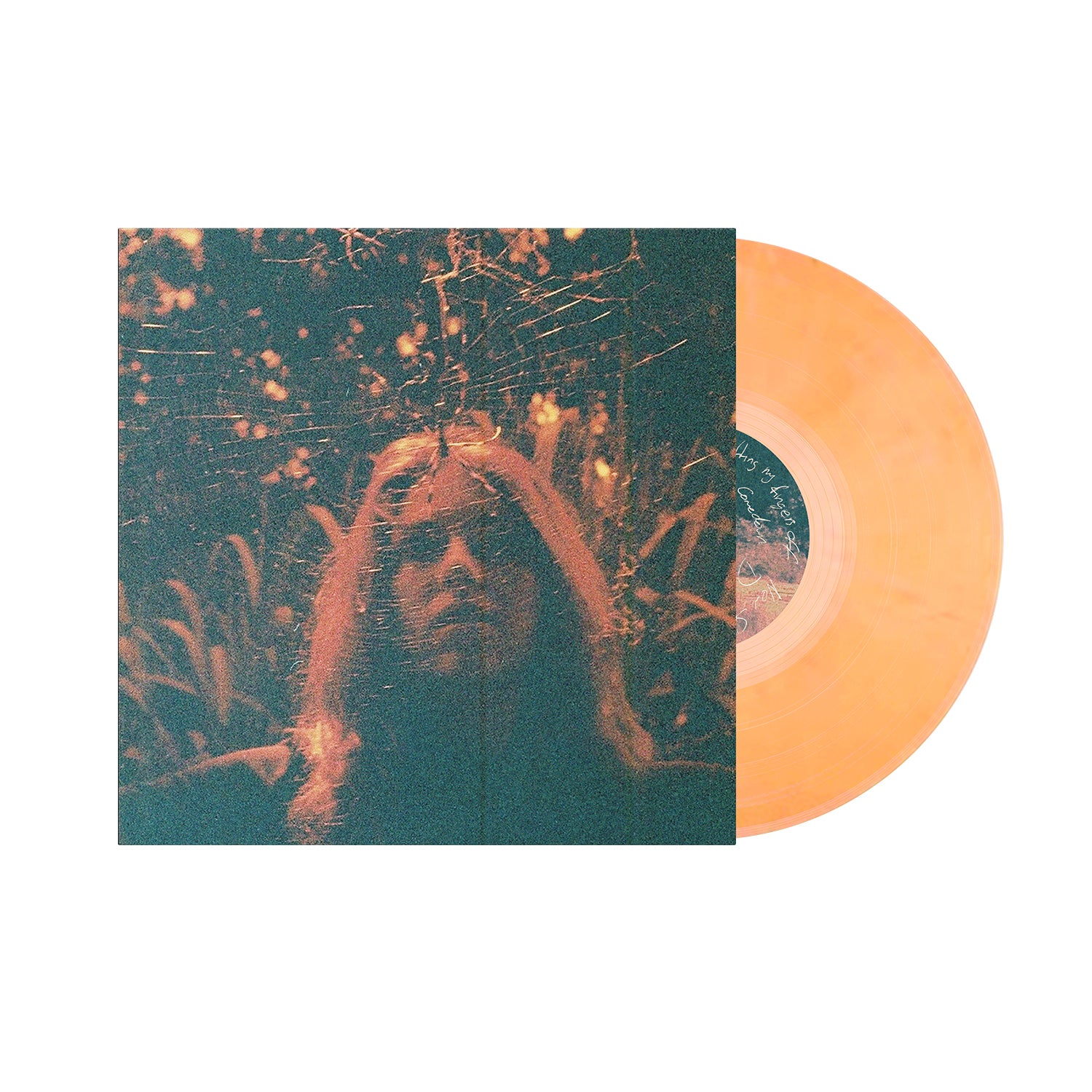 Turnover - Peripheral Vision (10 Year Anniversary Edition)