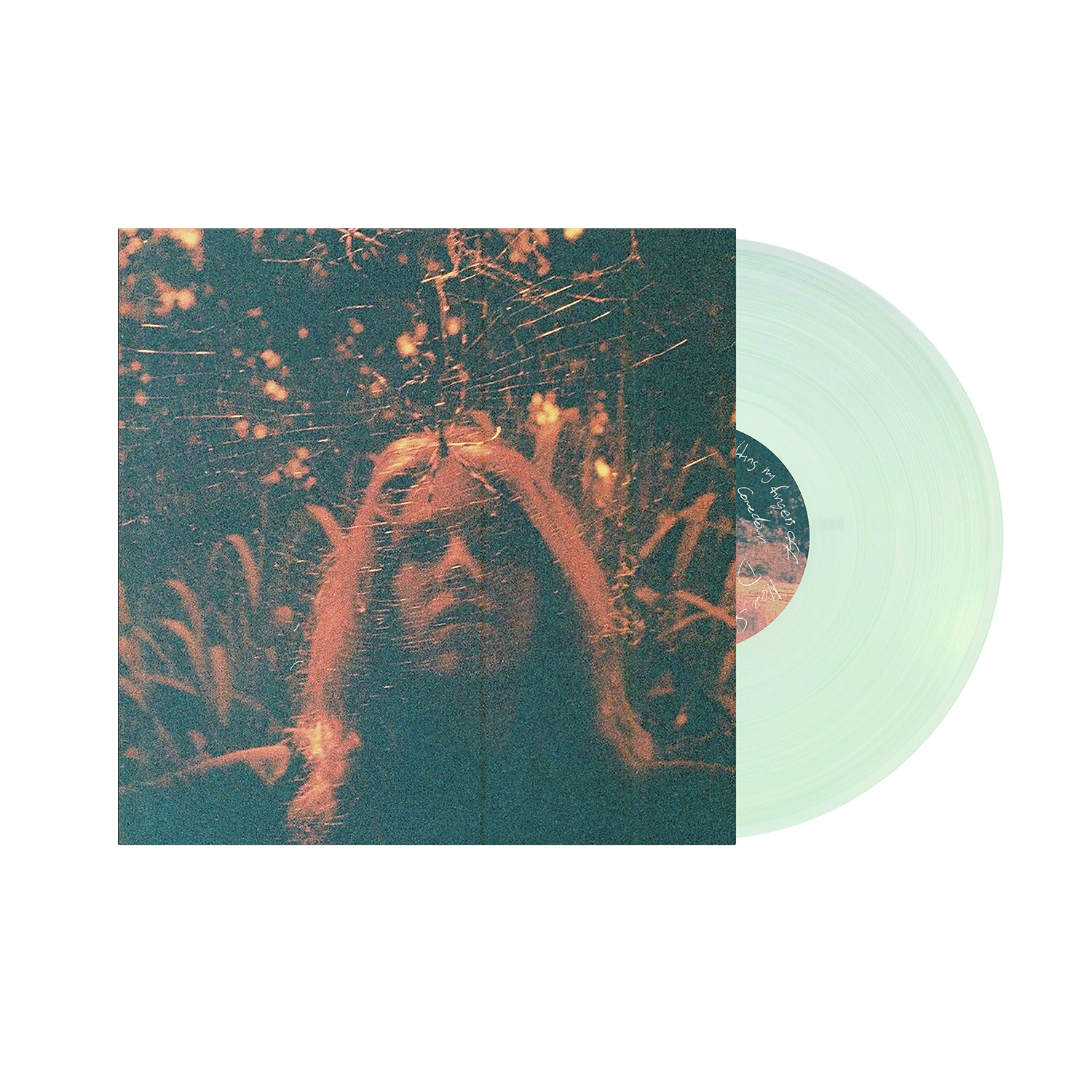 Turnover - Peripheral Vision (10 Year Anniversary Edition)