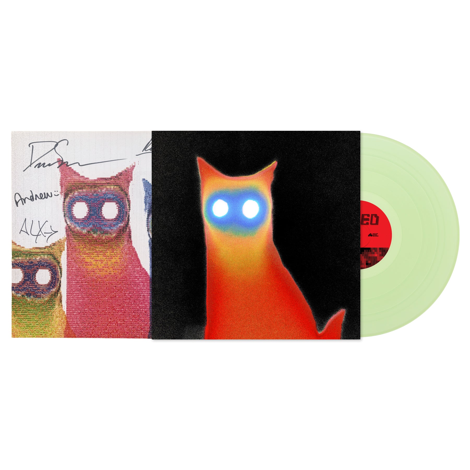 Basement - WIRED LP (Coke Bottle Clear) + Signed Print