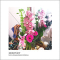 Wicca Phase Springs Eternal - Secret Boy
